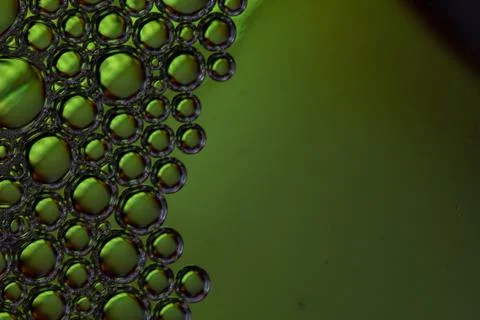 Macro shot of green bubbles. Stock Photos