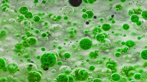 Macro shot of green bubbles in water with one big black bubble slowly Video stock 124671188