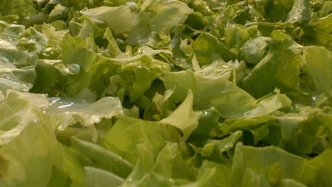 Macro shot of green salad, fast Stock-Footage 112799182