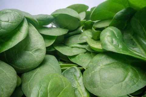 Macro shot of green spinach leafs. Bunch of spinach vegetable leafs stacked Stockfoto's