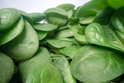 Macro shot of green spinach leafs. Bunch of spinach vegetable leafs stacked 스톡 사진
