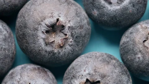 Macro shot of a group of berries on a blue background. Stock Footage 170391901