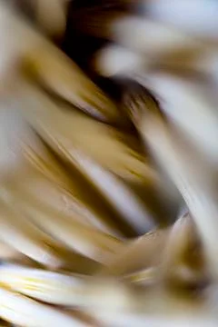 Macro shot of group of toothpicks Stock Photos