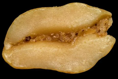 Macro shot of half roasted peanuts with salt isolated on black background Stock Photos