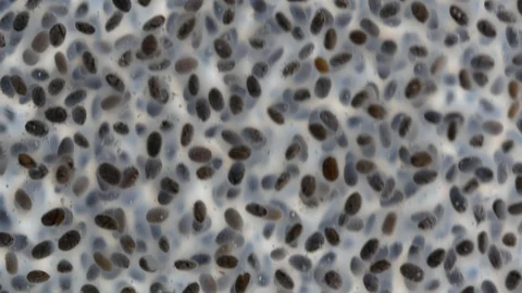 A macro shot of a heap of chia seed Stock Footage 120183074