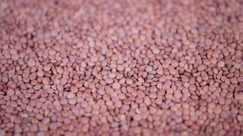 Macro shot highlighting lentil surface textures. Highresolution macro of shelled Stock Footage 333905937