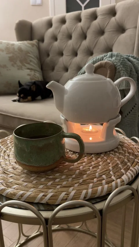 Macro shot of hot tea mug on candle warmer with sleeping chihuahua in background Video stock 345845320