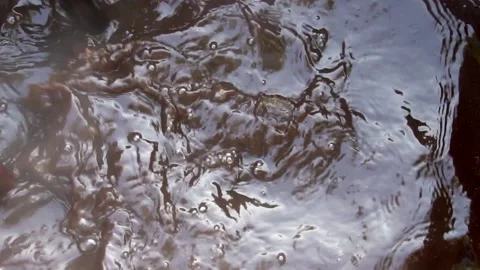 Macro Shot Of Hot Water During Process Of Dyeing Organic Textiles With Stock Footage 156009184
