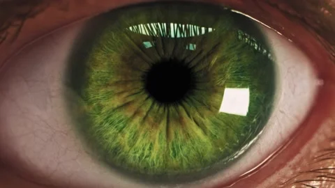 Macro shot of Human Eye Smartphone Screen Reflection Iris Technology Addiction Video stock 148749026