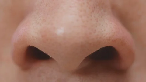 Macro shot of human nose isolated Stock Footage 124846996