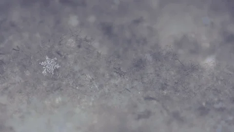 Macro shot of an icy snowflake Stock Footage 93782080