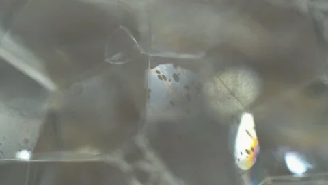 Macro shot. Inside the bubble. Inside the bubble is moving. Vidéo 227855450