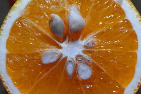 Macro shot of inside the orange fruit Stock Photos