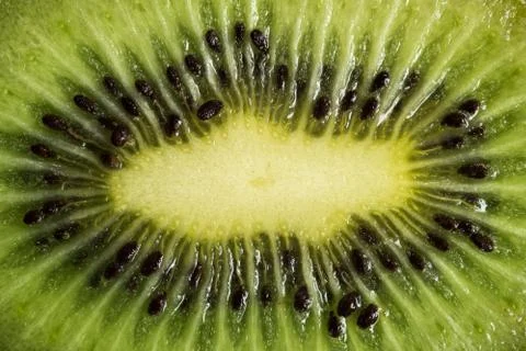 Macro shot of a kiwi slice background Stock Photos