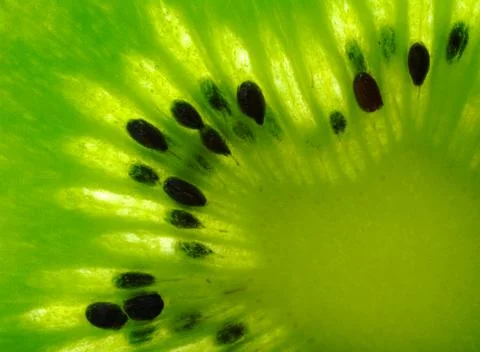 Macro shot of a kiwi slice Stock Photos