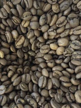 Macro Shot of Lightly Roasted Coffee Beans Stock Photos