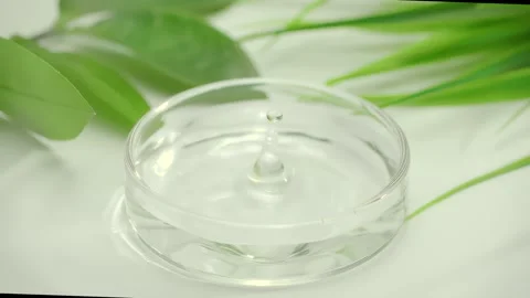 Macro shot of a liquid droplet falling into a glass petri dish Video stock 339280876