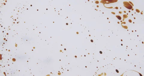Macro shot of a lot of small bubbles moving on a white surface Video stock 138099982