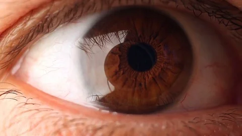 Macro Shot Of A Male Eye Stock Footage 71555045