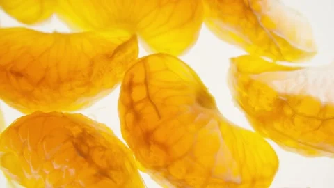Macro Shot of Mandarin Orange Segments Stock Footage 302172777