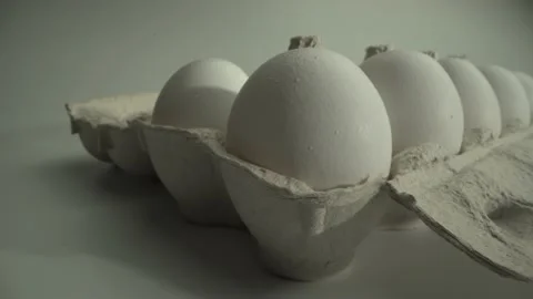 Macro shot of many eggs in the cell. Close up egg in the foregorund. White Stock Footage 130558282