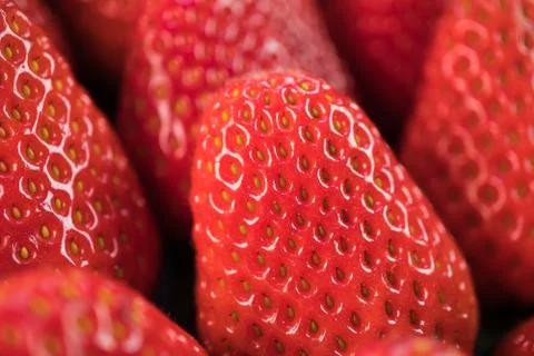 Macro shot of many fresh strawberries. Stock Photos