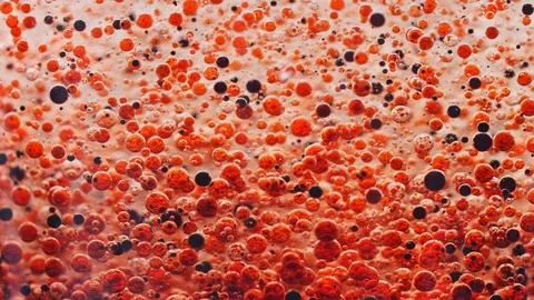 Macro shot of many red and dark bubbles slowly falling to ground in water Video stock 124671220