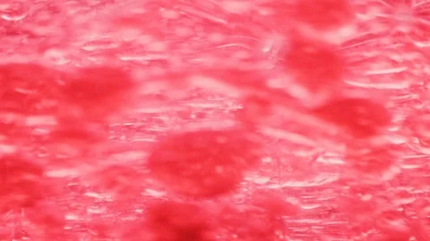 Macro shot of many red bubbles moving around in water fast Video stock 124671053