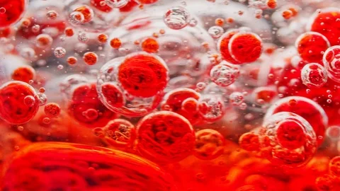 Macro shot of many red bubbles moving around in water Video stock 124671109