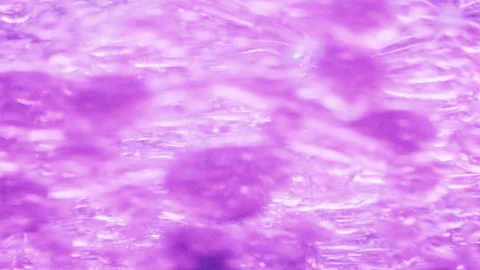 Macro shot of many violet bubbles moving around in water fast Video stock 124671080