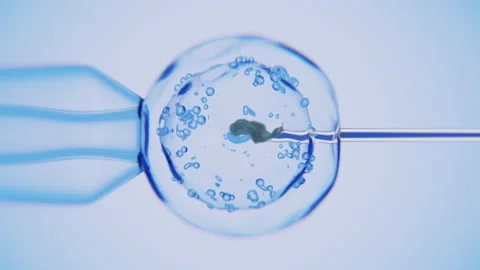 Macro shot from a microscope. Introduction of the solution into the cell Stock Footage 162403238
