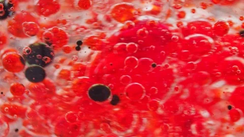 Macro shot of a mix of red and black bubbles slowly getting mixed in water Video stock 124671217