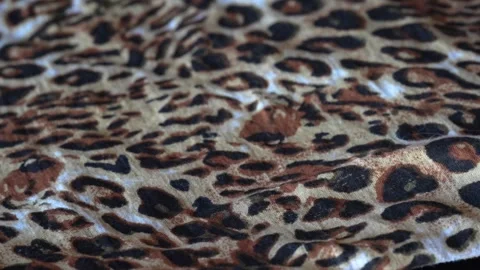 Macro shot with movement of fabric with leopard print, extreme close up of cloth Stock Footage 243905588