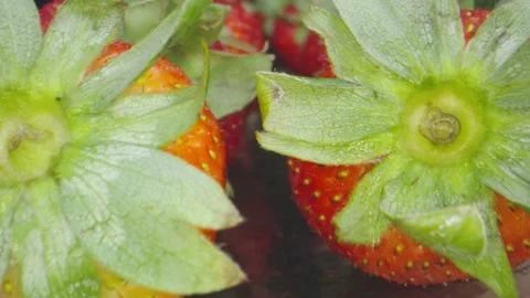 Macro shot moving through group of Strawberries Stock Footage 131689624