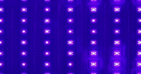 Macro shot of multicolored RGB diode blinking lights. LED colored dots led light Stock Footage 248929368