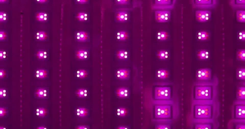 Macro shot of multicolored RGB diode blinking lights. LED colored dots led light Stock Footage 258230248