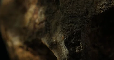 Macro Shot of Natural Weathered Rock Surface with Earthy Textures Stock Footage 291269286