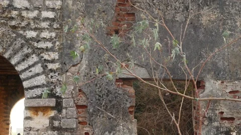 Macro shot of old house in bad condition, Bad condition of old house Video stock 151901161