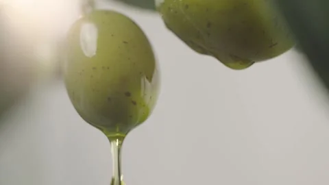 Macro Shot of Olive Oil Dripping from Green Olive 4K 動画素材 344052343