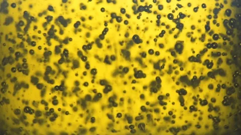 Macro shot of olive oil. Stock Footage 112595673