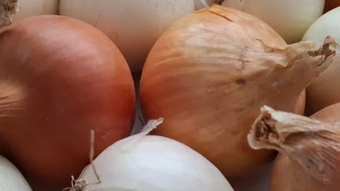 Macro shot of an onion Stock-Footage 344480097