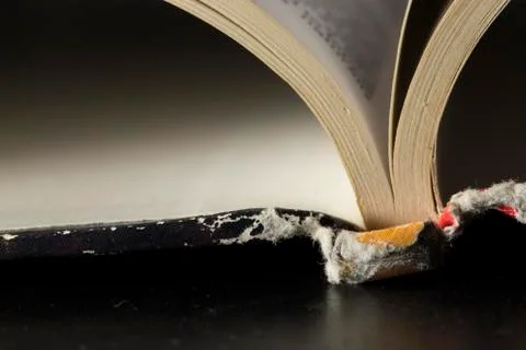 Macro shot of open hardback rule book Photos