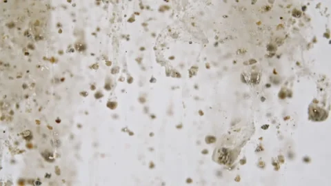 Macro Shot of Particles made of Clay Powder, Cosmetic Texture in Water Descend Stock Footage 154369357