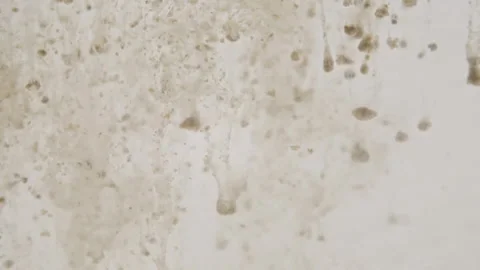 Macro Shot of Particles made of Clay Powder, Cosmetic Texture in Water Descend Video stock 155360735