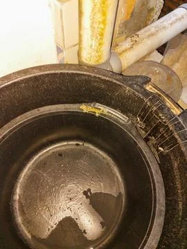 Macro shot of a patterned gecko perched on a black bucket Stock Photos