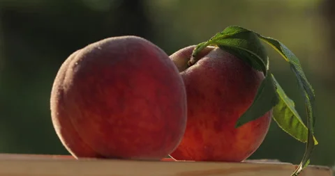 Macro shot of a peach. Stock Footage 135627817