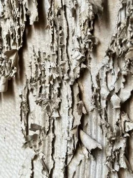Macro shot of peeling old paint on an outdoor concrete wall Stock Photos