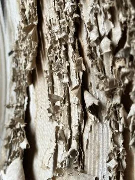 Macro shot of peeling old paint on an outdoor concrete wall Stock Photos