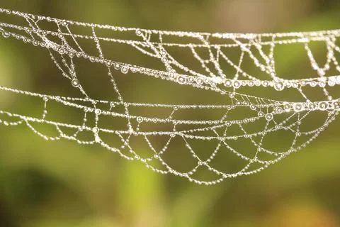 Macro shot Stock Photos