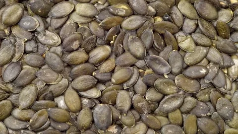 Macro shot of pumpkin seeds Stock Footage 280537370
